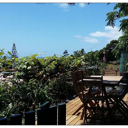 Casa Do Ze - Al Konuk evi Manadas Dış mekan fotoğraf