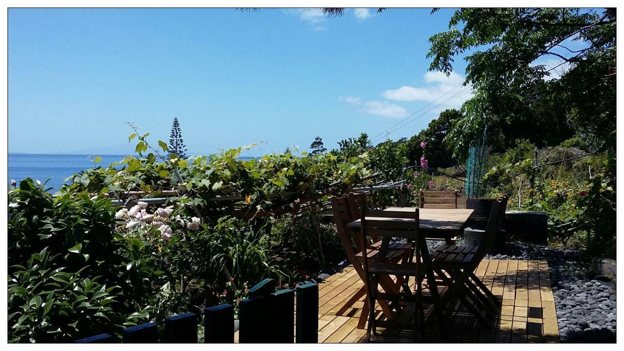 Casa Do Ze - Al Konuk evi Manadas Dış mekan fotoğraf
